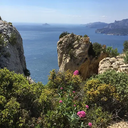 Tatil Evi Residences Des Peyrons Vue Et Les Iles D'or *