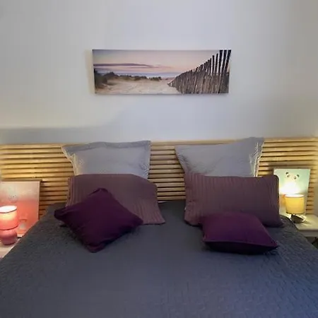 Residences Des Peyrons Vue Et Les Iles D'or Tatil Evi