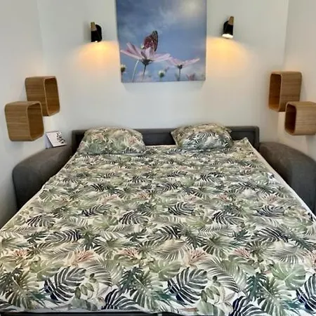 Tatil Evi Residences Des Peyrons Vue Et Les Iles D'or Carqueiranne